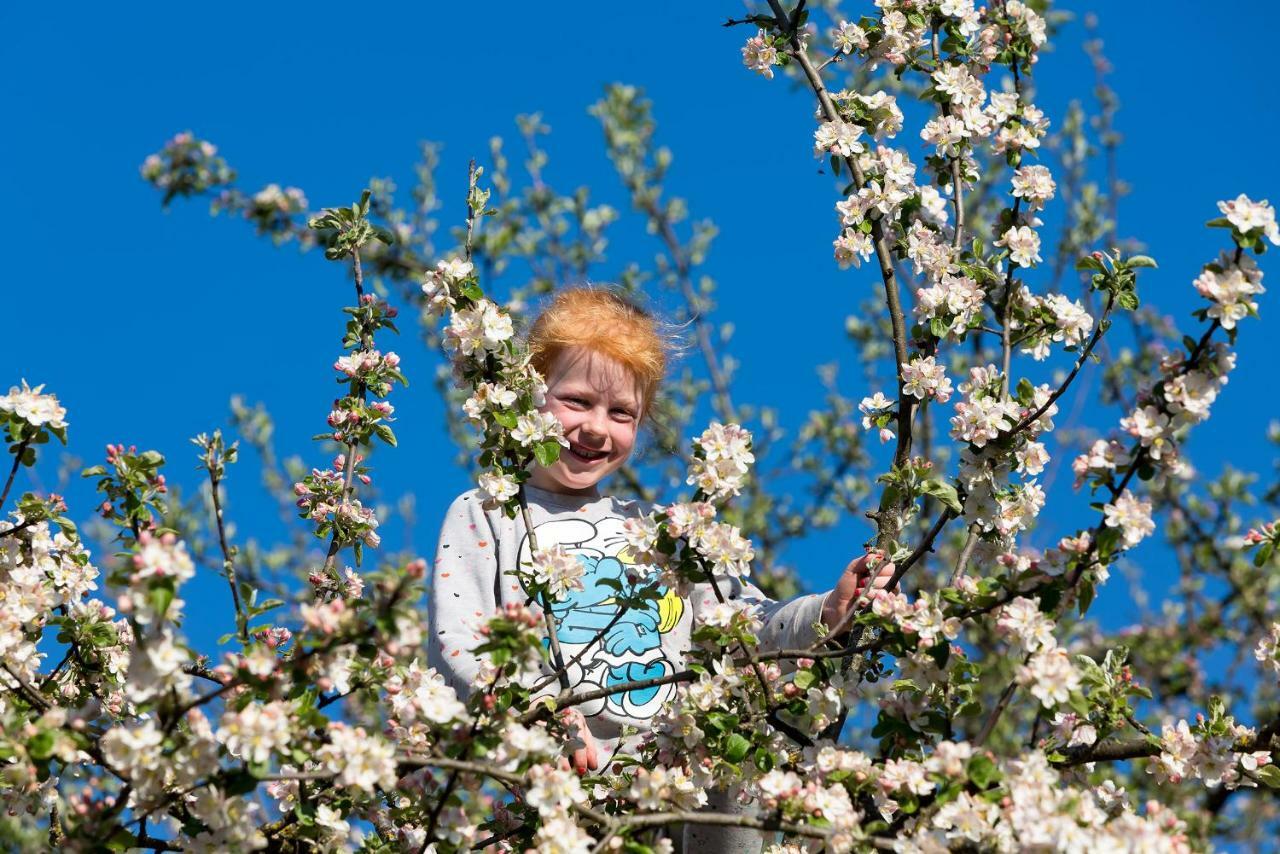 Zaisslhaeusl Hof Ferienwohnungen Übersee エクステリア 写真